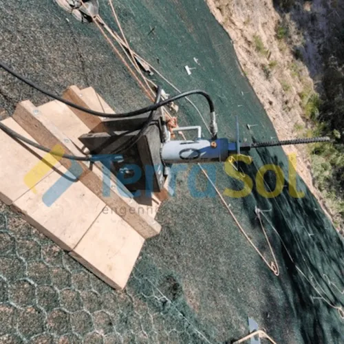 Arrancamento-Ensaio-2026 (2)